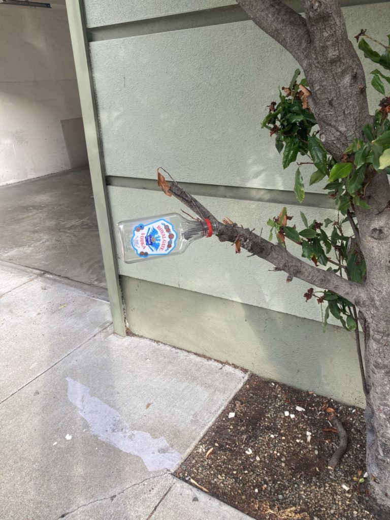 small liquor bottle stuck onto branch of bush