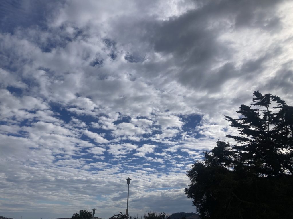 Blue sky spread with white clouds, a tree in the right foreground and a street lamp in the center distance 