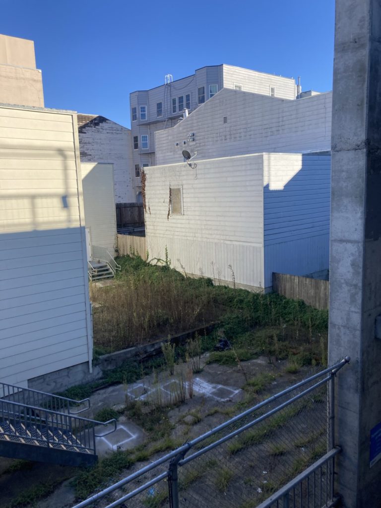 A yard overgrown with weeds in the center of the sides/backs of several white buildings. Some square outlines are spray painted on the concrete. Clear blue sky. 