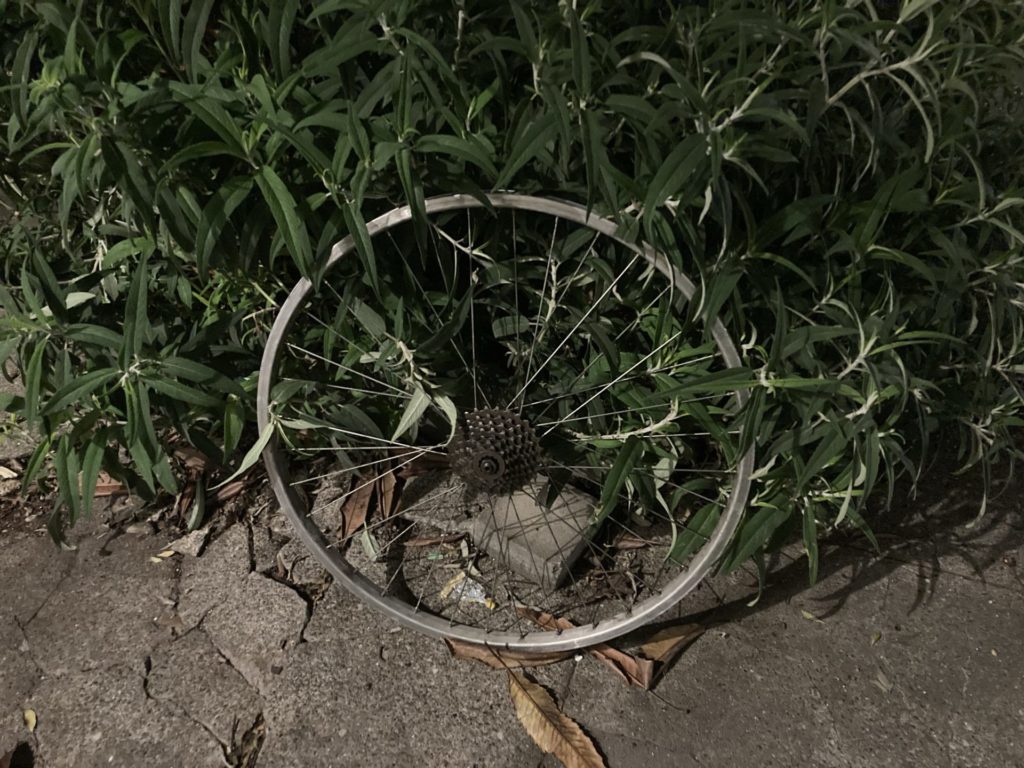 Bike wheel (without a tire) leans against a bush