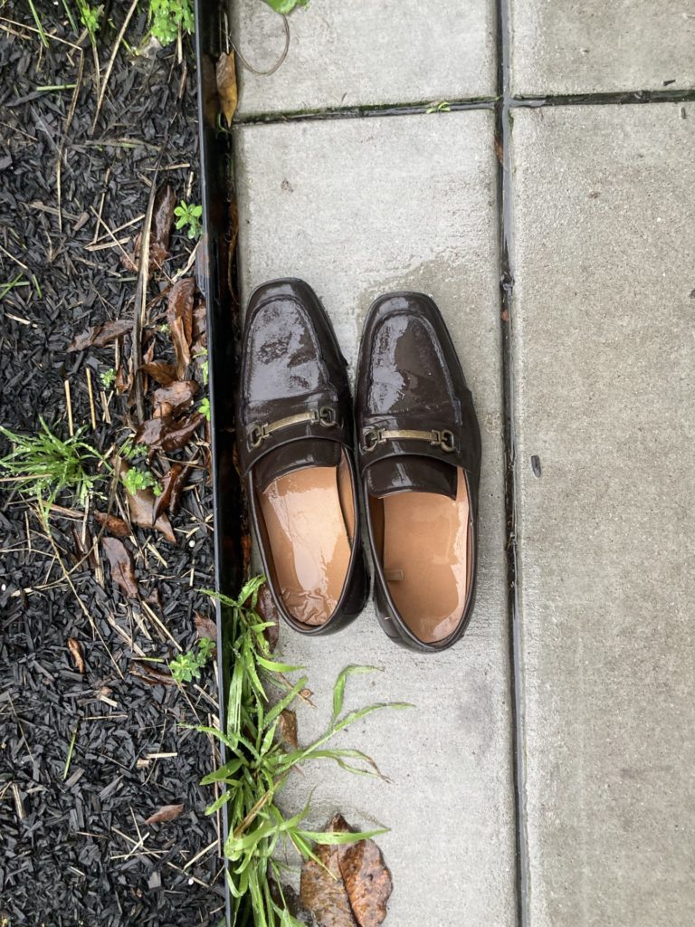 A pair of brown dress shoes are shiny with rain on the sidewalk next to a planted area with brown much and weeds
