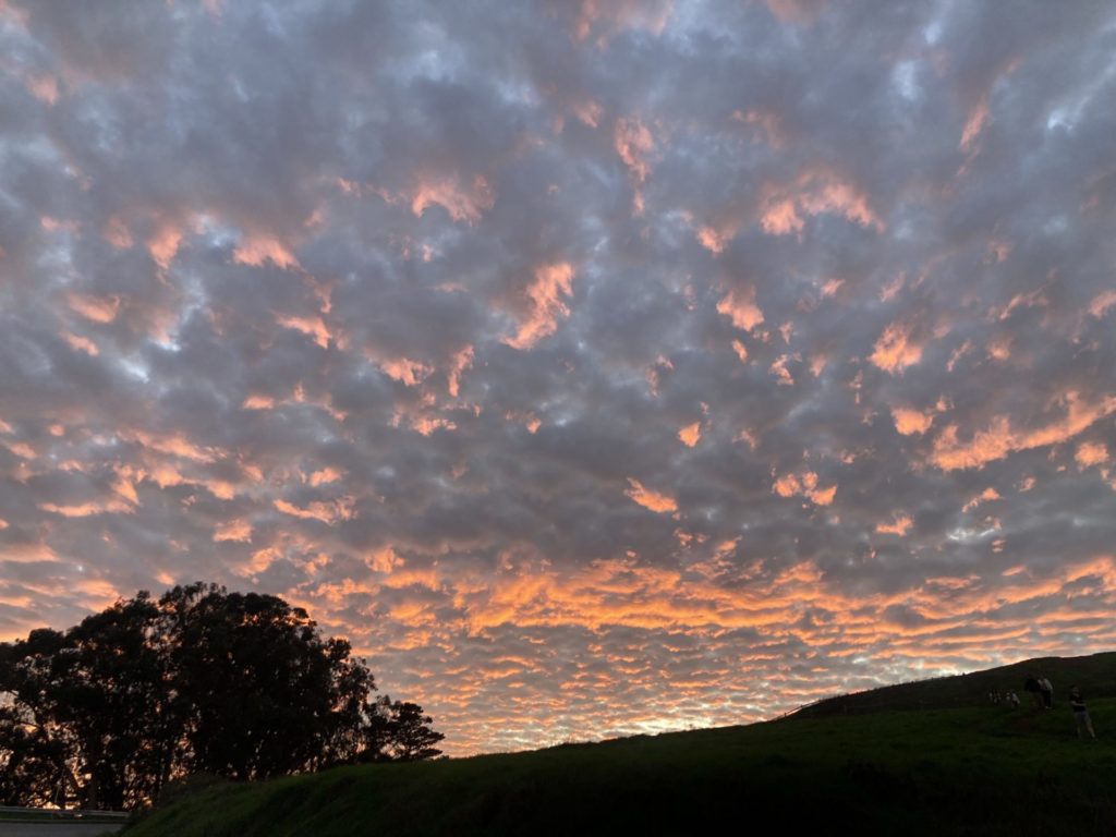 Clouds fill the sky tinged with pink-orange-yellow light from the setting sun. A tree and hill are visible in the foreground. 