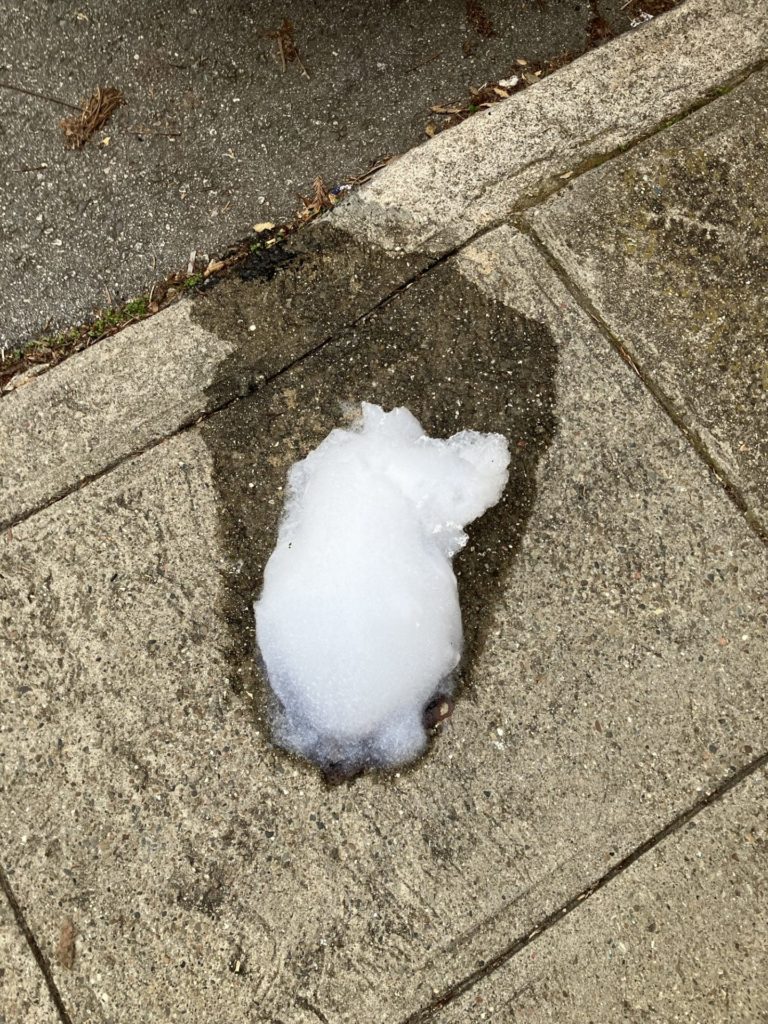 White foam and wet spot on sidewalk 