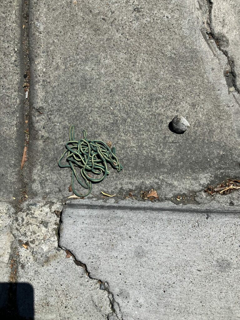 Gray sidewalk with a small pile of green and yellow shoelace looking like a small thin snake or miniature garden hose. There’s some cracks in the sidewalk, and to the right, a small rock. In the lower left, a shadow of the phone taking the picture. 