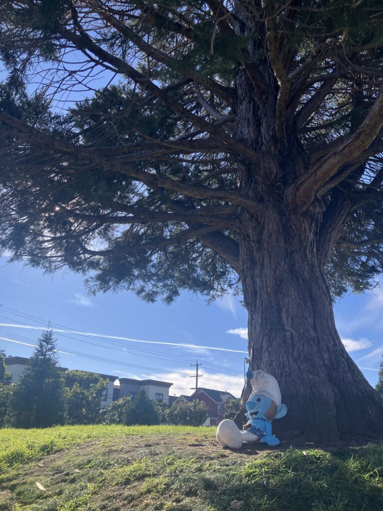 Large off-brand smurf stuffed animal sitting under a shade tree on a sunny day