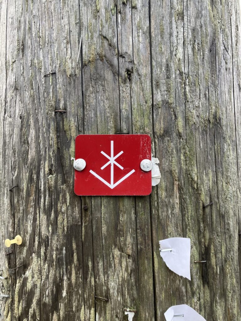 Red label attached to telephone pole. The label has a white design that looks like a flower. 