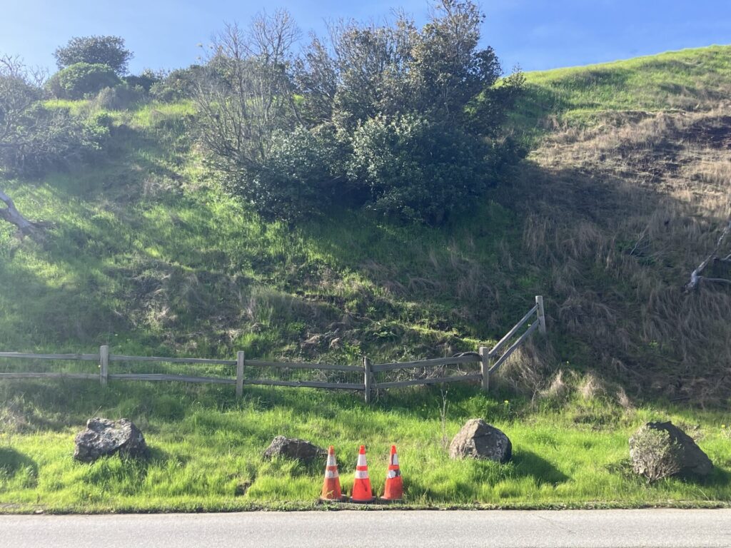 Three orange traffic cones in the grass across a street. A hill with a a line of boulders, a fence, and large bushes/trees rises behind them. 