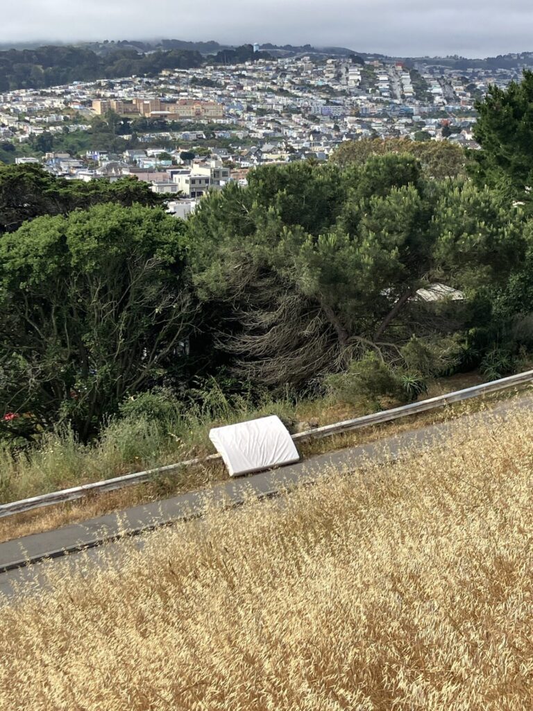 View from hilltop with golden dried grass in the foreground, city houses in the background, and in between, a street with a large white mattress on the side of it.