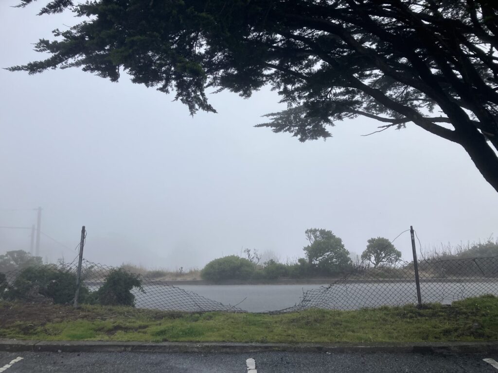 White foggy sky in a parking lot with a large tree on the right and bent chain link fence across the middle of the image.