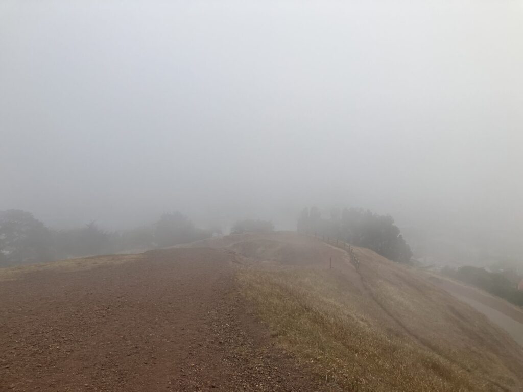 Foggy view on a dirt trail, trees are partially obscured by fog. 