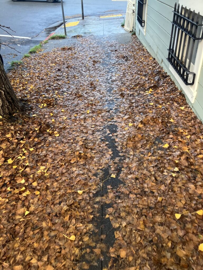 Brown wet leaves on the sidewalk, with a little path carved through where people have walked. 