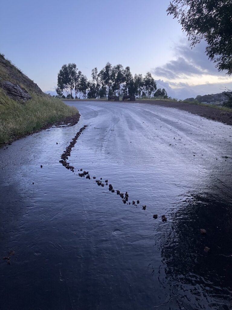 Sidewalk shiny with rain, on it a vertical line of rocks that shifts to the diagonal at the bottom. 